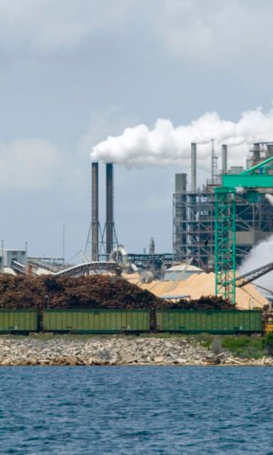 complete paper mill in action from tree stock in the yard to wood chips with mill in background. Southeastern US.