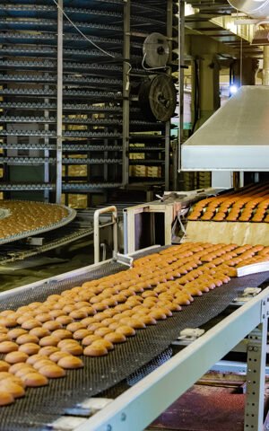 Confectionery factory. Production line of baking cookies. Selective focus