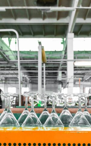 Glass producing at factory stemware in a row